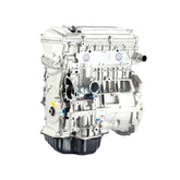 XINLIN 2AZ-FE 2AZ 2.4L Long Block Engine for Toyota Camry | 1 Year Unlimited Mileage Warranty & Door-to-Door Delivery